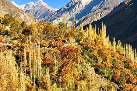 KKH Hunza Valley Fall Colors Experience