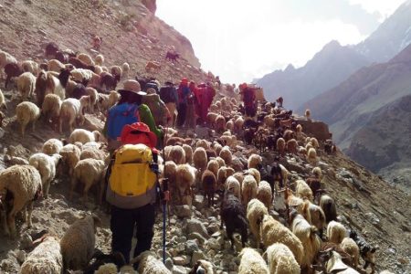 Ghizer Kalam Dadrili Passes Trek