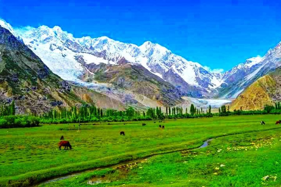 Lahore Ghizer Hunza Fairy Meadows Nanga Parbat Tour