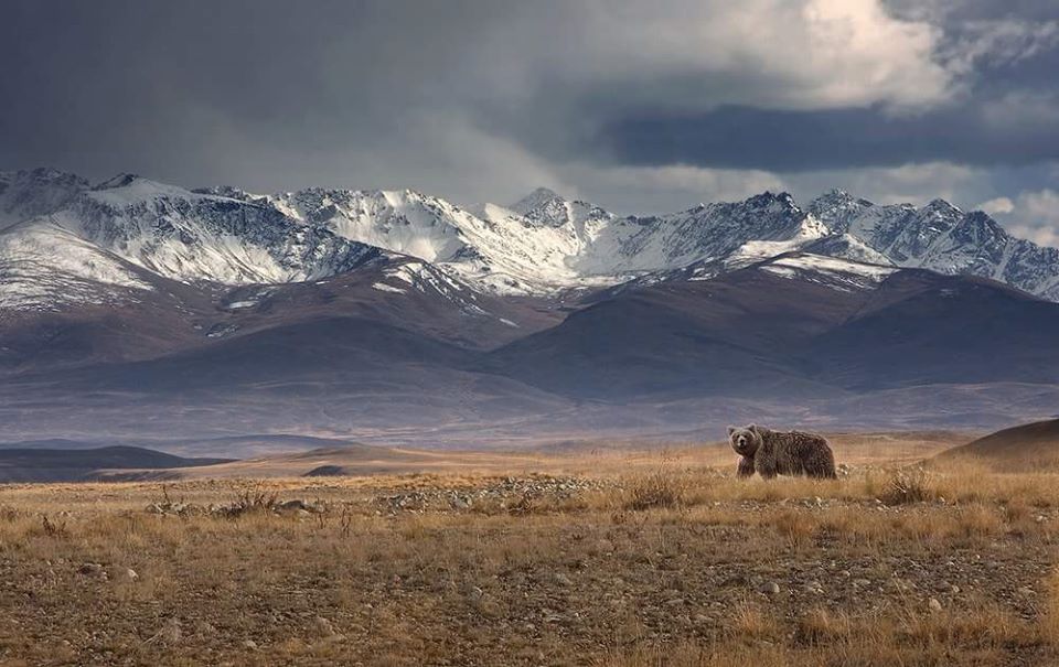 Day Trip to Deosai National Park