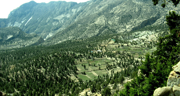 Ziarat